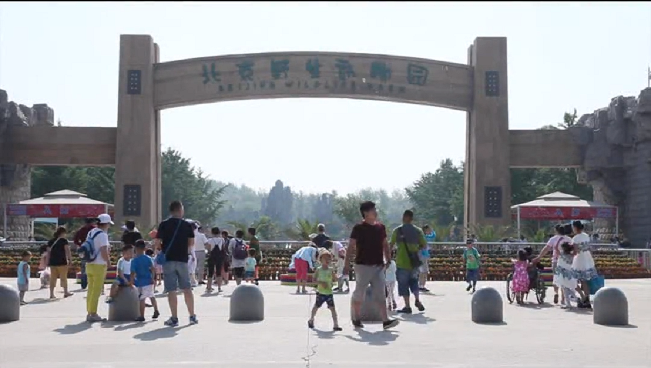 pp电子游戏·模拟器(试玩)官方网站